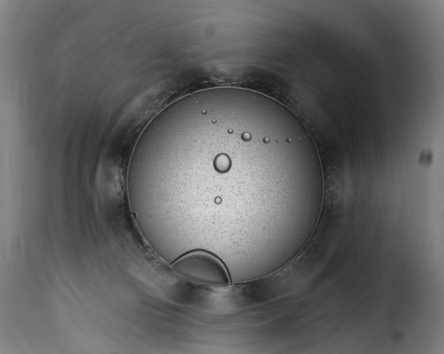 X0000115650130200911241743