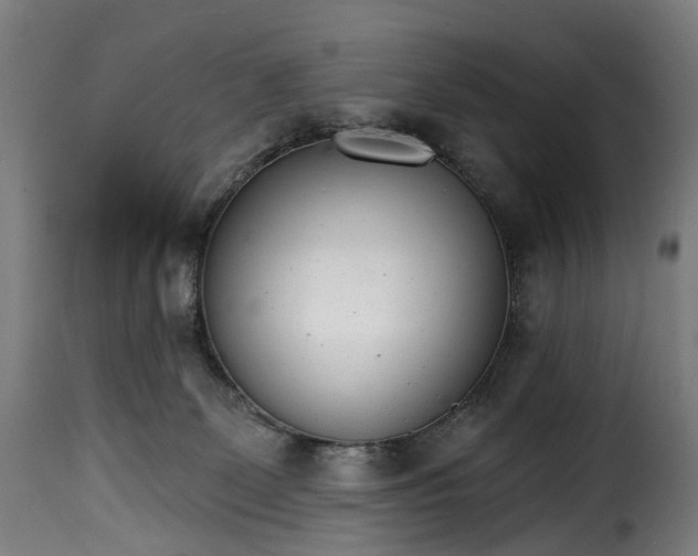 X0000115650131200911241743