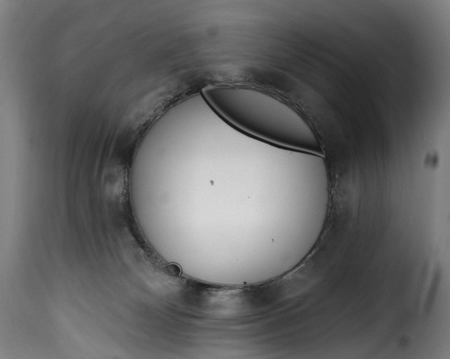 X0000115650132200911241743