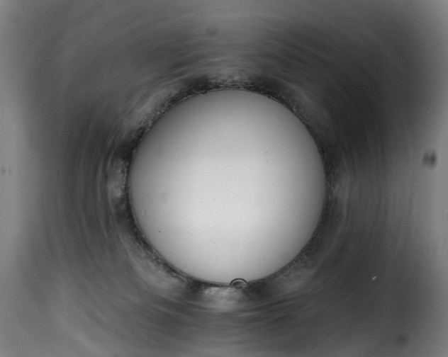 X0000115650133200911241743