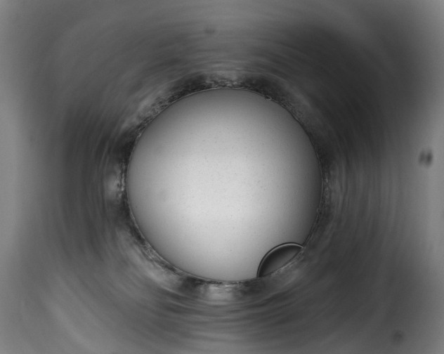 X0000115650134200911241743