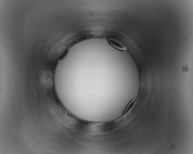 X0000115650136200911241743