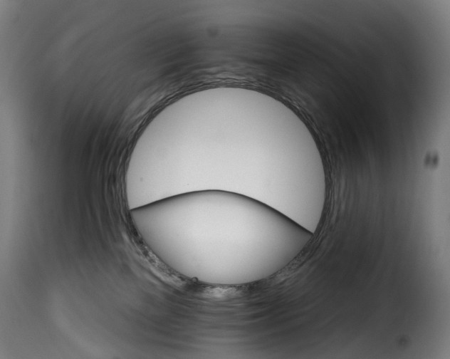 X0000115650137200911241743