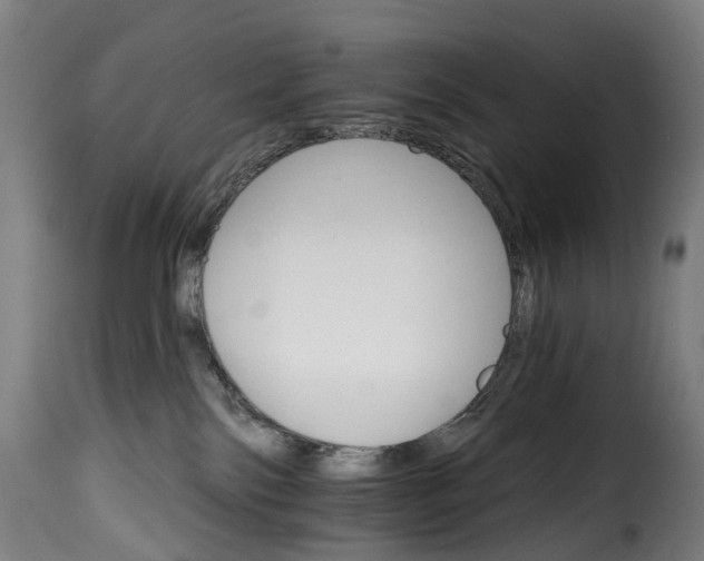 X0000115650138200911241743