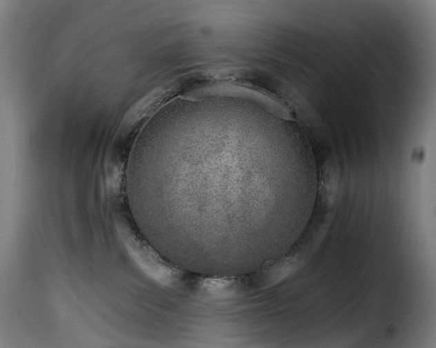 X0000115650139200911241743