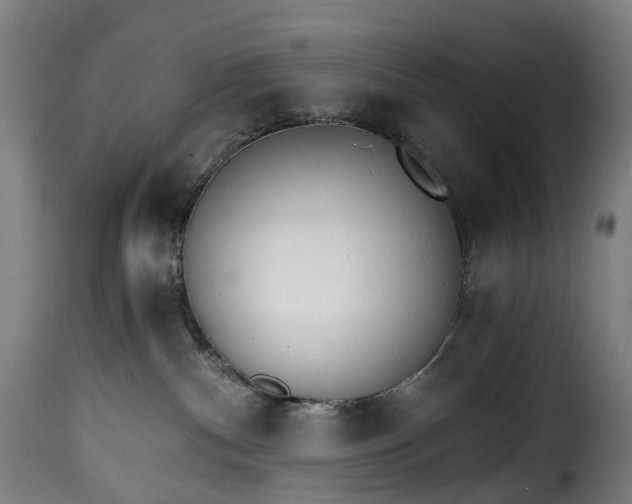 X0000115650140200911241743