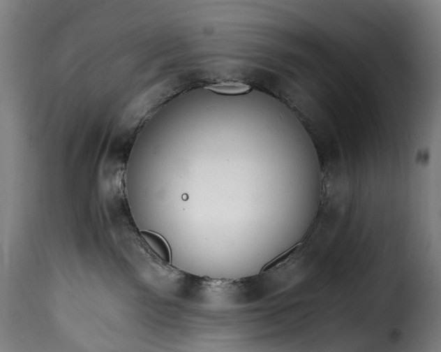 X0000115650141200911241743