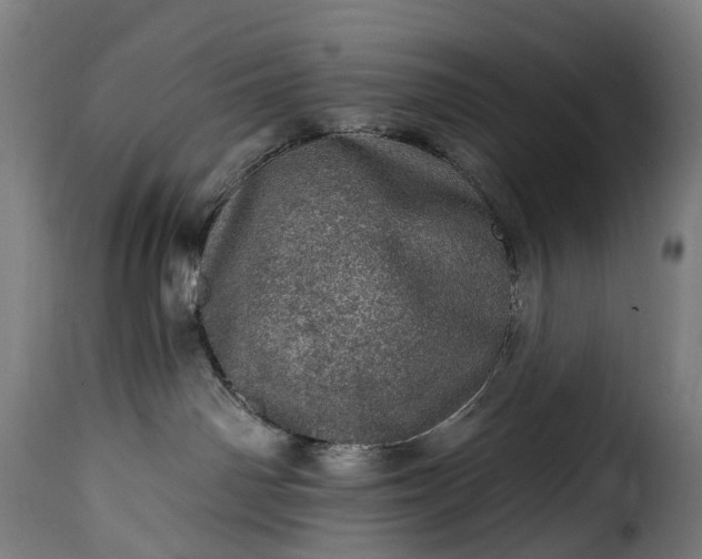 X0000115650142200911241743