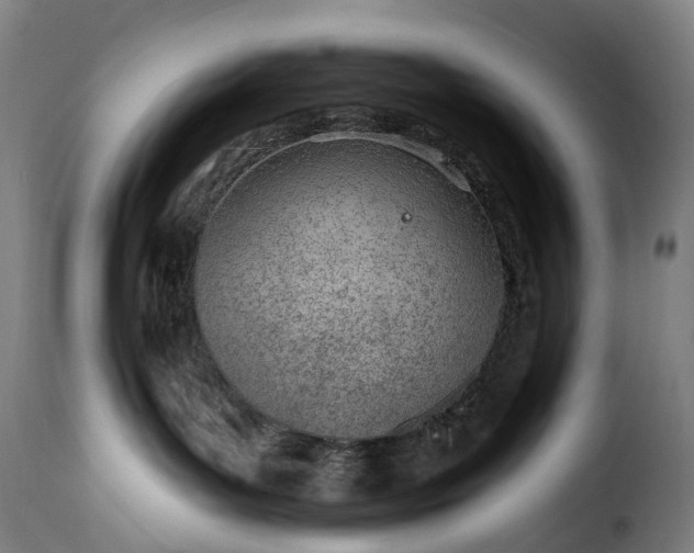 X0000115650143200911241743