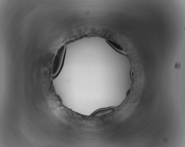 X0000115650144200911241743