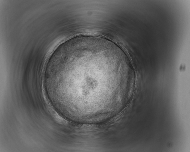 X0000115650145200911241742