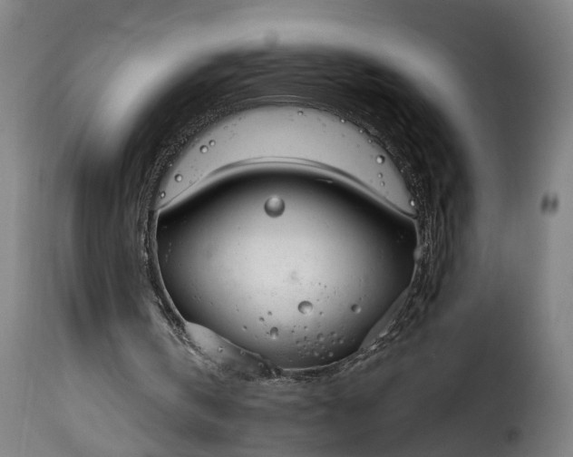 X0000115650146200911241742