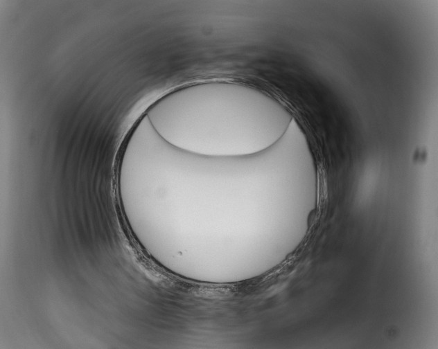 X0000115650147200911241742