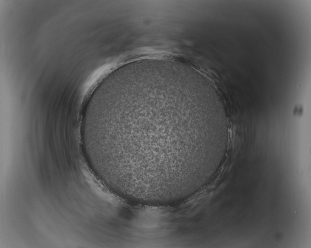 X0000115650149200911241742