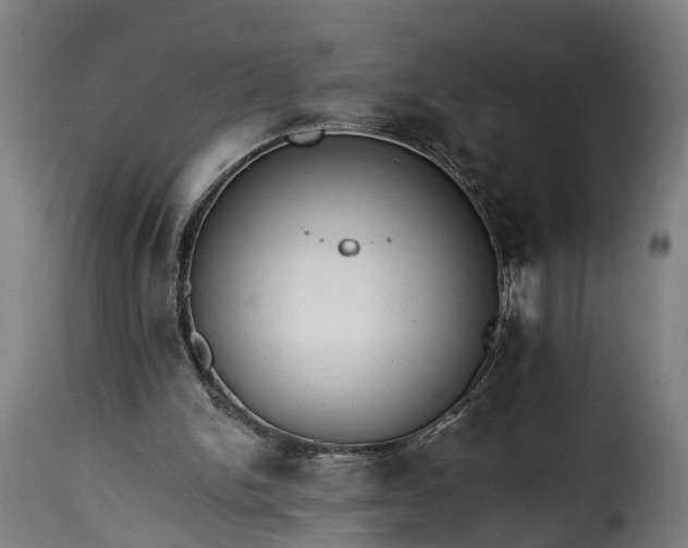 X0000115650150200911241742