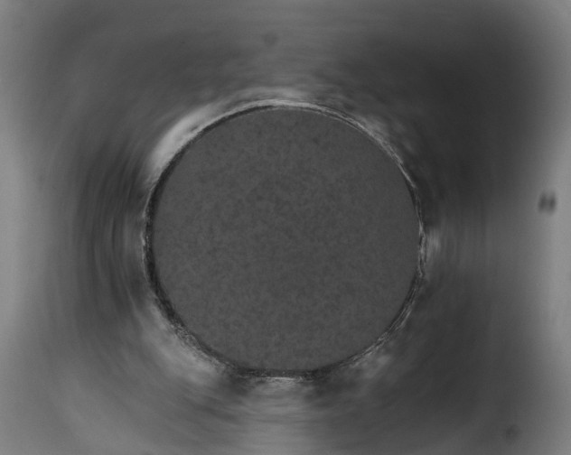 X0000115650151200911241742