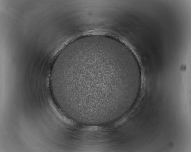 X0000115650153200911241742