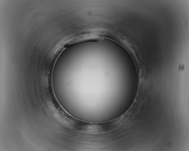 X0000115650154200911241742