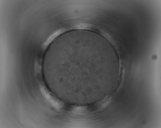 X0000115650155200911241742