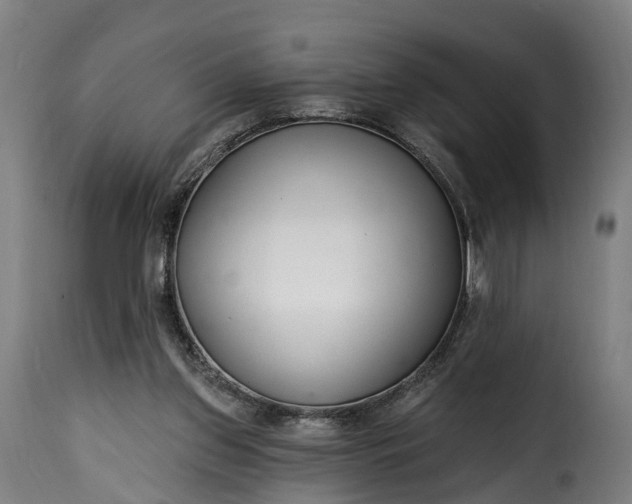 X0000115650157200911241742