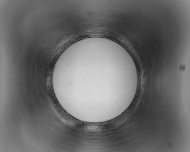 X0000115650161200911241742