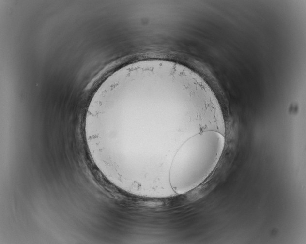 X0000115650162200911241742