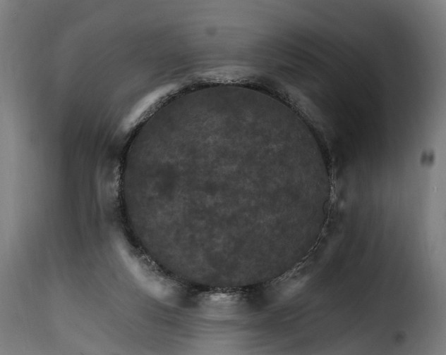 X0000115650163200911241742