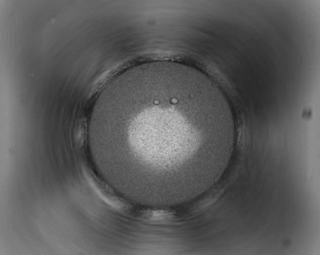 X0000115650165200911241742