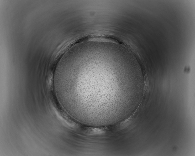 X0000115650166200911241742