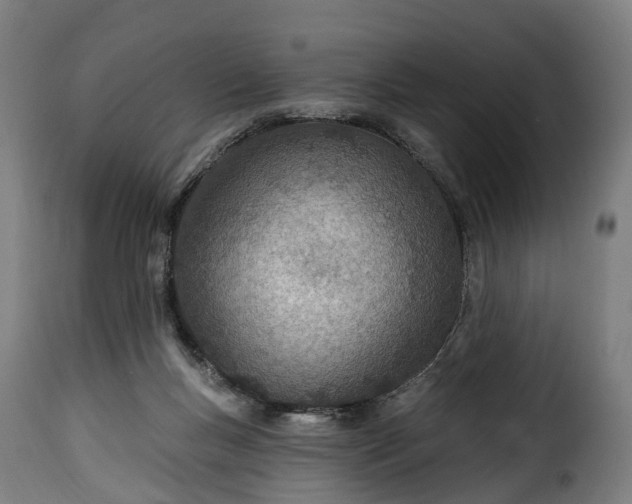 X0000115650167200911241742