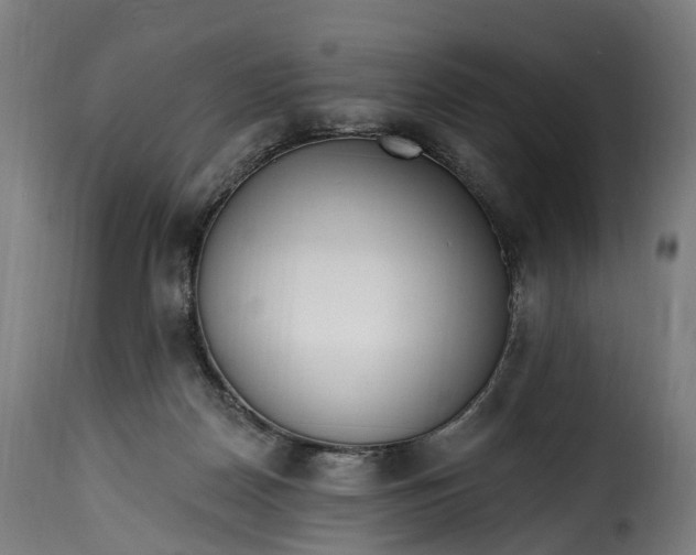 X0000115650170200911241742