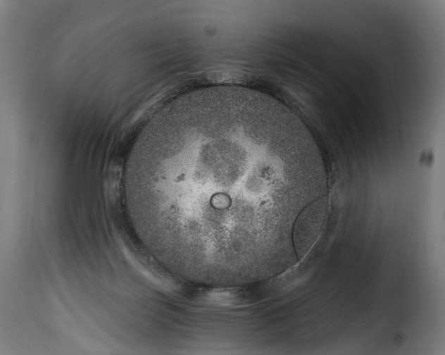 X0000115650171200911241742