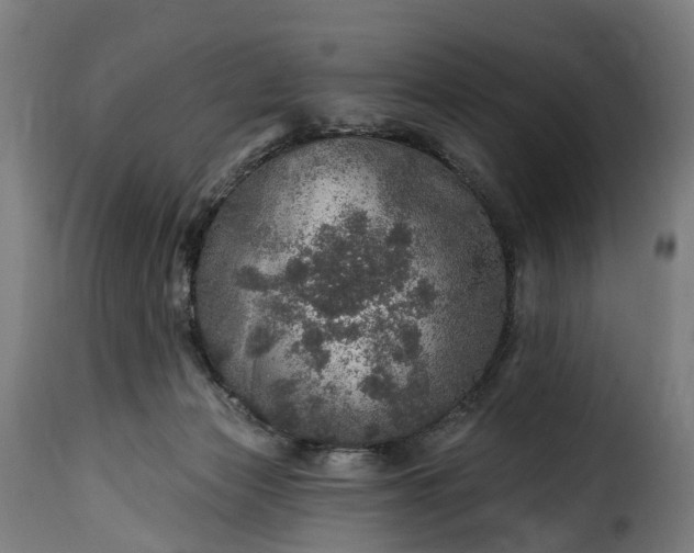 X0000115650173200911241742