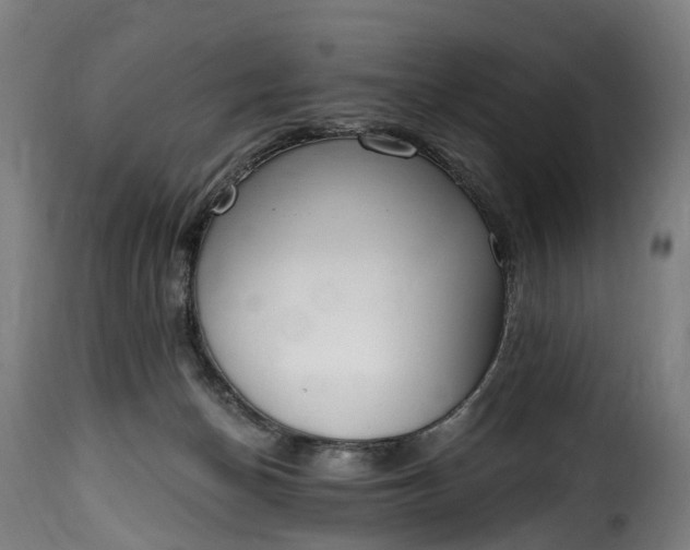 X0000115650174200911241742