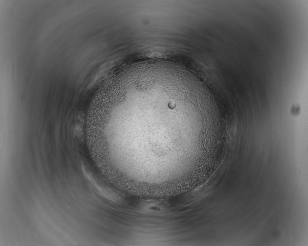 X0000115650175200911241742