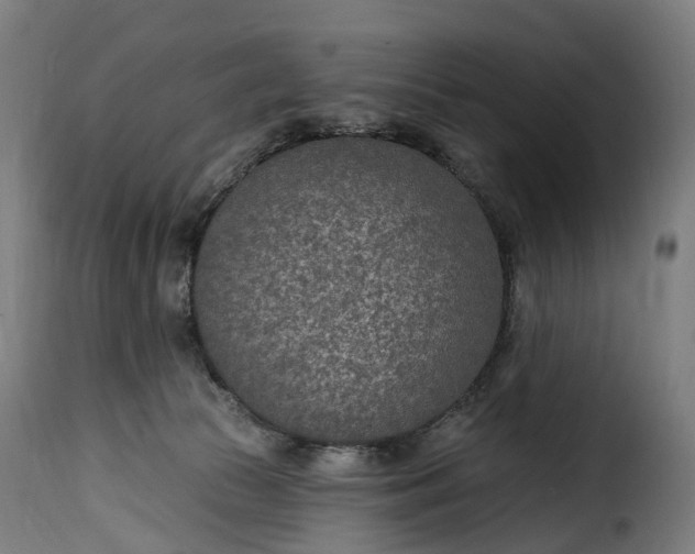 X0000115650177200911241742