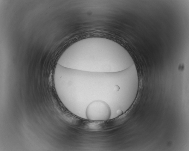 X0000115650178200911241742