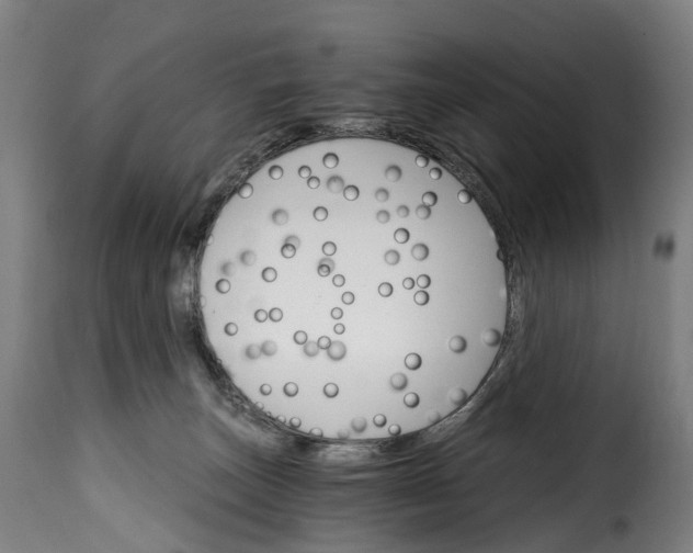 X0000115650179200911241742