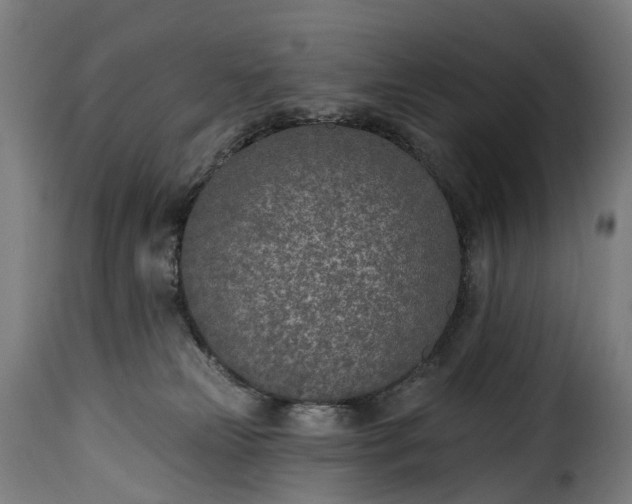 X0000115650181200911241742