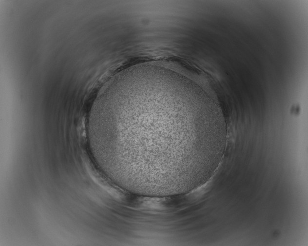 X0000115650182200911241742