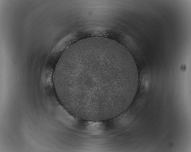 X0000115650185200911241742