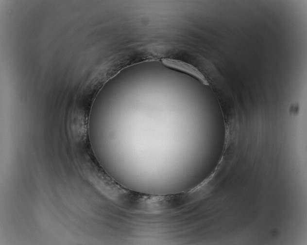 X0000115650186200911241742