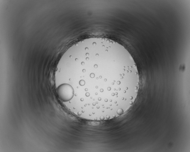 X0000115650187200911241742