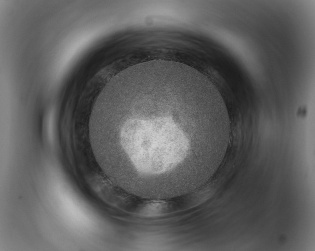 X0000115650189200911241742