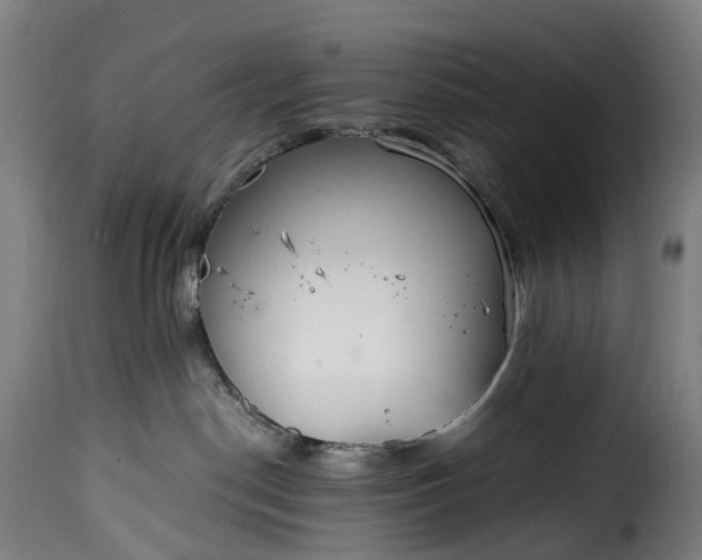 X0000115650190200911241743