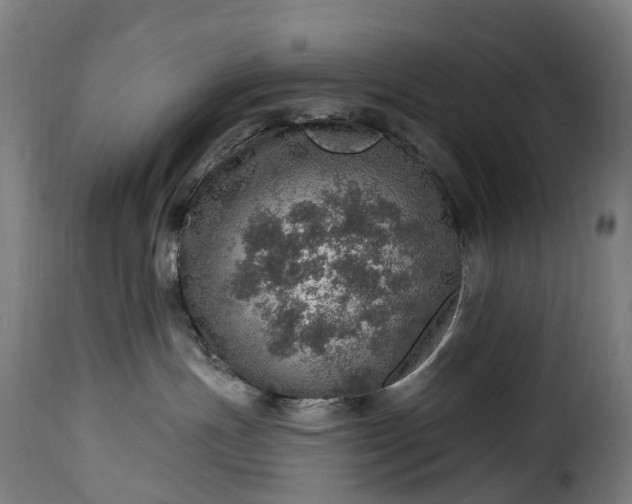 X0000115650191200911241743