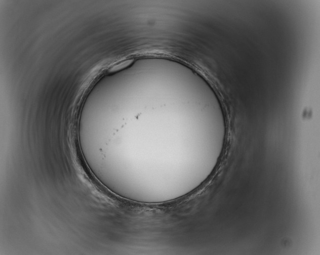 X0000115650193200911241742