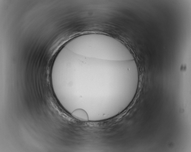 X0000115650194200911241742