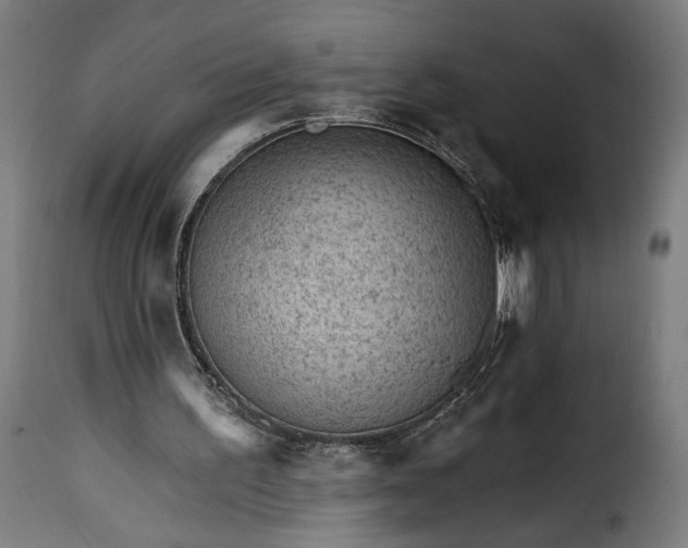 X0000115650195200911241742