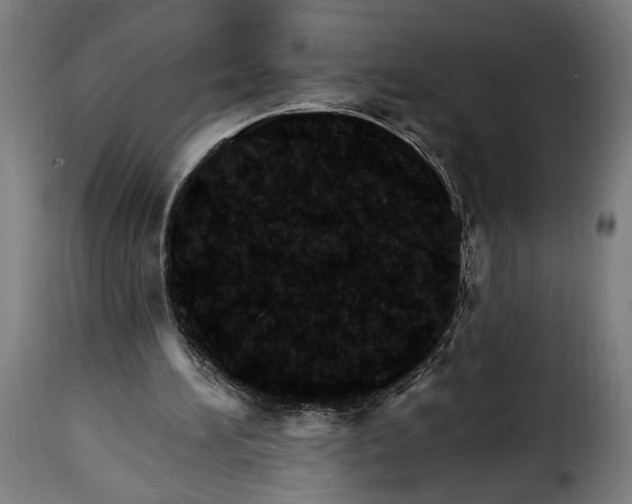 X0000115650196200911241742